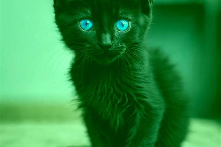 Penelope, 39, a black blue-eyed mediterranean companion based in Kalur Kot. Offering Couples, Prostate Massage, Fetish. Available for incall and outcall, day...