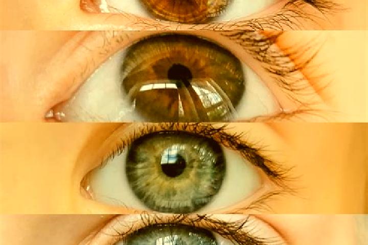 Penelope, 39, a chestnut hazel-eyed caucasian companion based in Santo Antonio do Caiua. Offering A-Level, Massage, Girlfriend Experience. Available for inca...