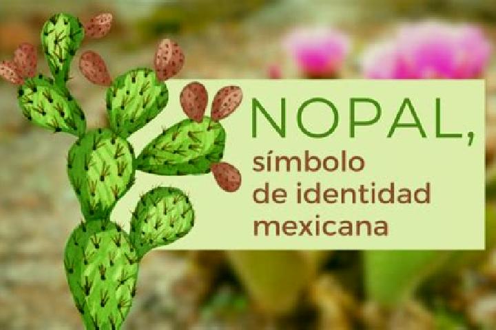 Penelope, 39 — Escort in El Nopal, Mexico