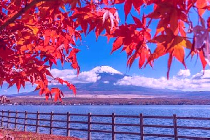 Penelope, 39 — Escort in Erimo, Japan
