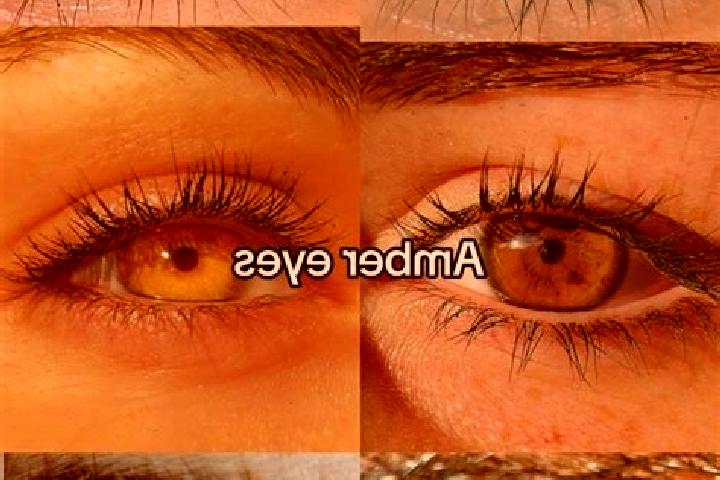 Piper, 20, a brunette amber-eyed european companion based in Neuf-Brisach. Offering BDSM, Domination, Fetish. Available for incall and outcall, overnight boo...
