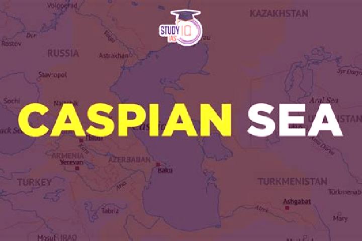 Piper, 20 — Escort in Caspian, United States