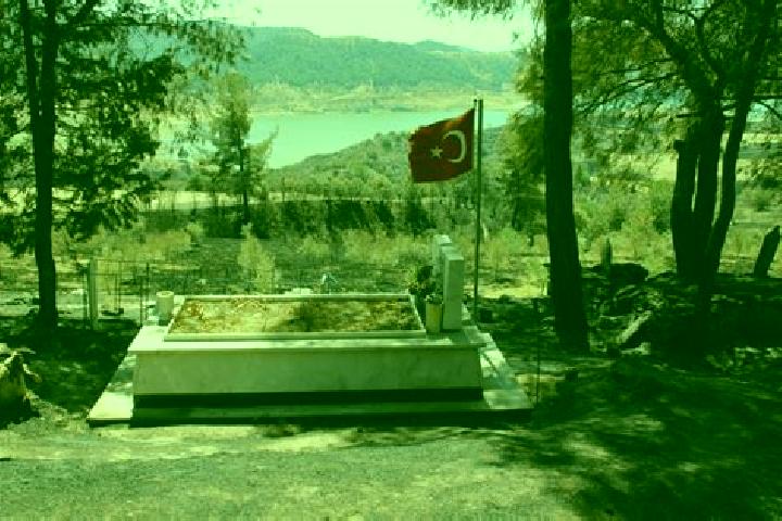 Piper, 20 — Escort in Karayakup, Turkey