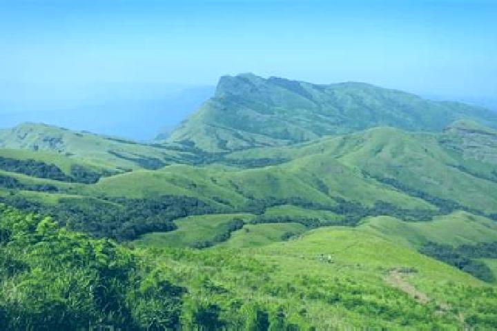 Piper, 20 — Escort in Kudremukh, India