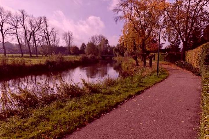 Piper, 20 — Escort in Lennisheuvel, Netherlands