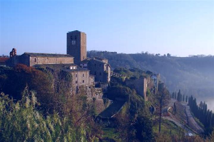 Piper, 20 — Escort in Lugnano in Teverina, Italy