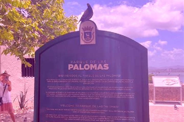 Piper, 20 — Escort in Palomas, Puerto Rico