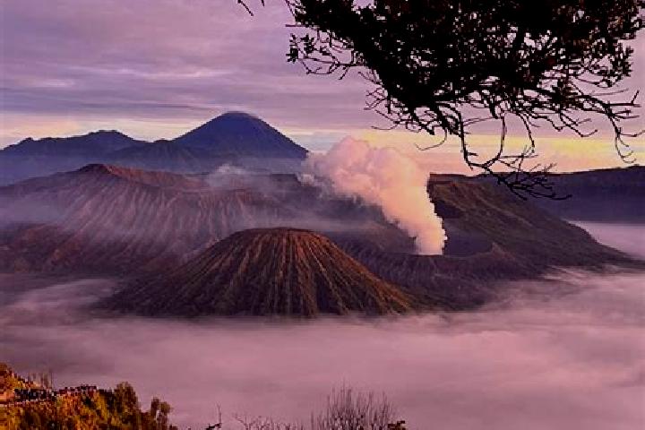Piper, 20 — Escort in Poto, Indonesia