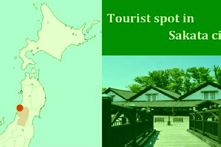 Piper, 20 — Escort in Sakata, Japan