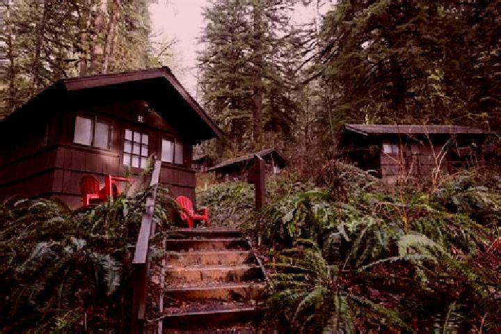 Piper, 20 — Escort in Smith Creek, Canada