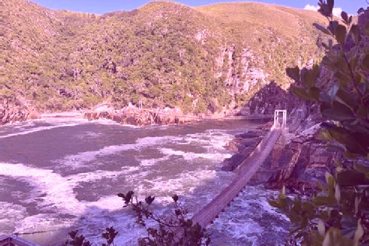 Piper, 20 — Escort in Stormsrivier, South Africa