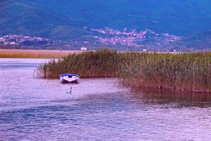 Piper, 20 — Escort in Struga, North Macedonia