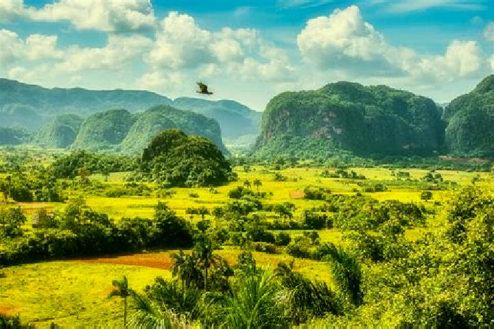 Piper, 20 — Escort in Vinales, Cuba