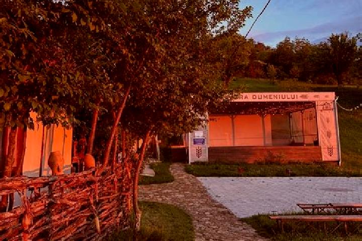 Piper, 20 — Escort in Vorniceni, Romania