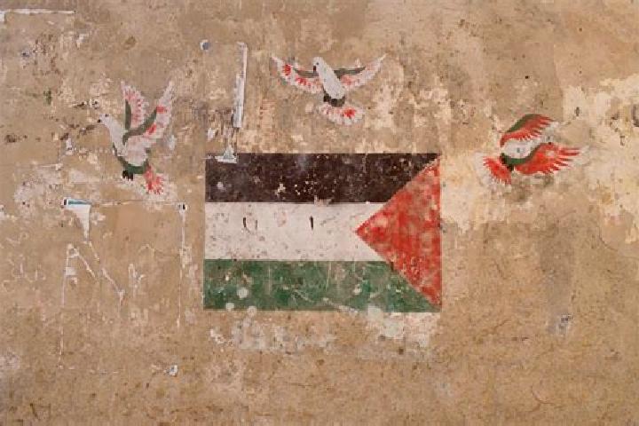 Piper, 21 — Escort in Bani Zayd ash Sharqiyah, Palestine