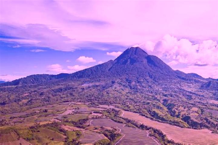 Piper, 21 — Escort in Cagua, Venezuela