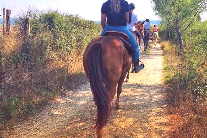 Piper, 21 — Escort in Castellina Scalo, Italy