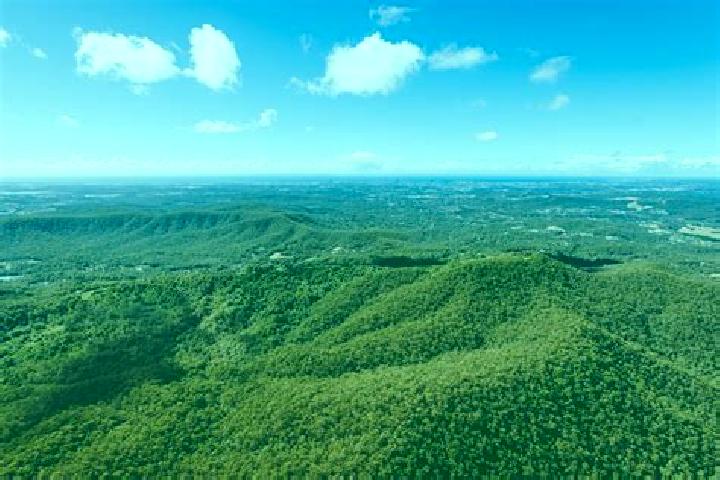 Piper, 21 — Escort in Mount Nathan, Australia
