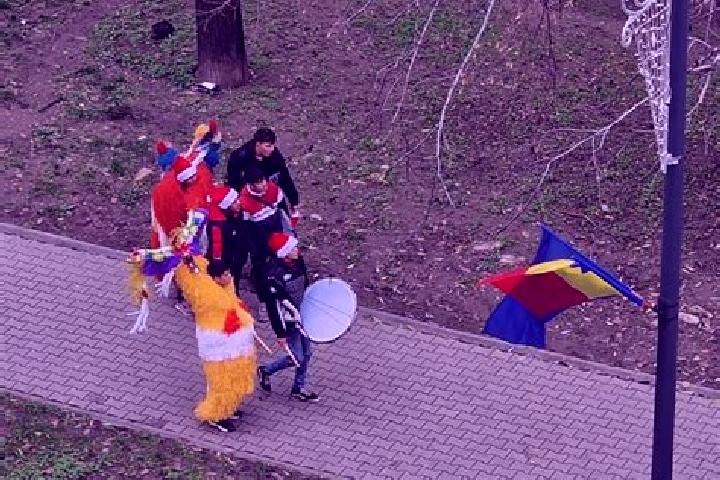 Piper, 21 — Escort in Nereju, Romania