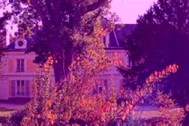 Piper, 21 — Escort in Verrieres-le-Buisson, France