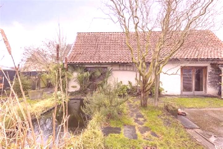 Piper, 21 — Escort in Waarschoot, Belgium