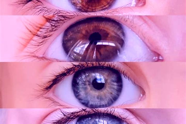 Piper, 22, a chestnut dark-eyed mixed companion based in Vosselaar. Offering GFE, Deep French Kissing, Dinner Date, Duos. Available for incall and outcall, o...