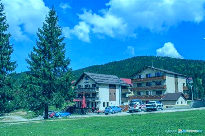 Piper, 22 — Escort in Arieseni, Romania