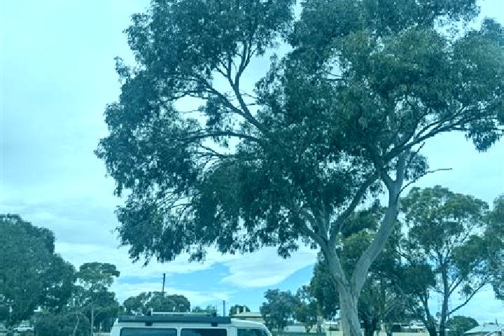 Piper, 22 — Escort in Glen Iris, Australia