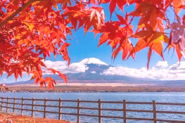 Piper, 22 — Escort in Hiezu, Japan