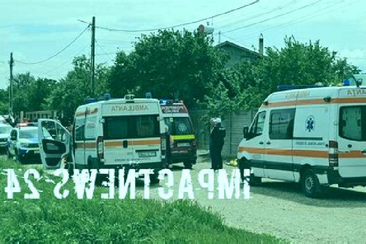 Piper, 22 — Escort in Orbeasca de Sus, Romania