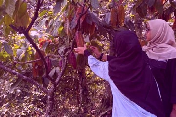 Piper, 22 — Escort in Terong, Indonesia