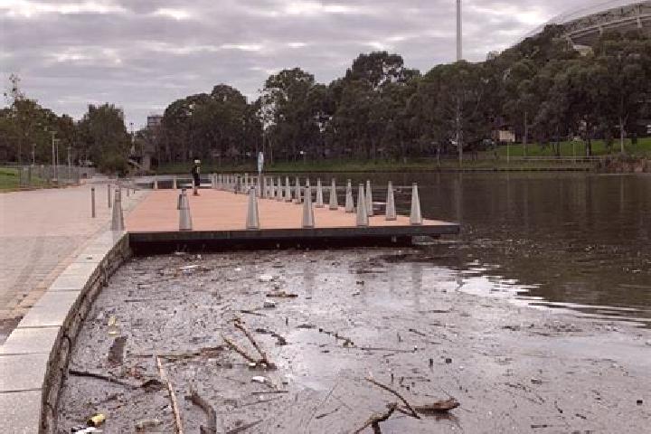 Piper, 22 — Escort in Torrens Park, Australia