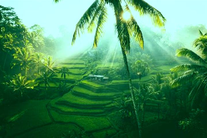 Piper, 22 — Escort in Ubud, Indonesia