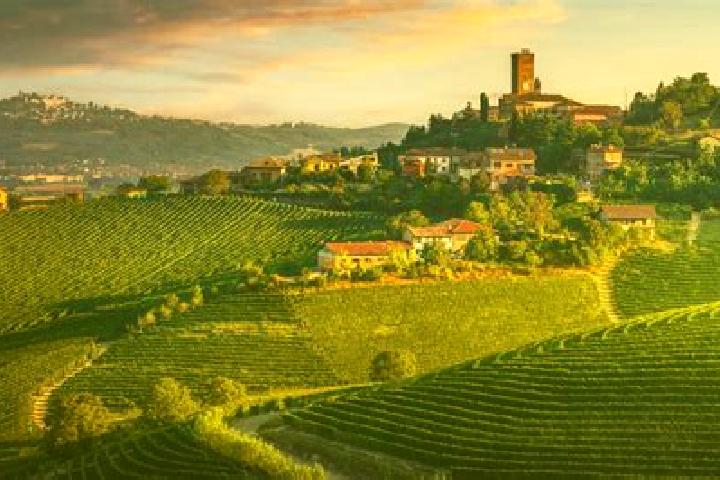 Piper, 22 — Escort in Valloriate, Italy