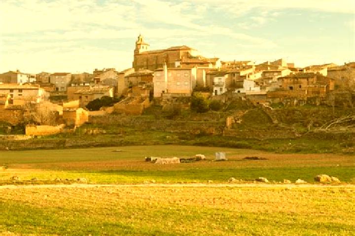 Piper, 23 — Escort in Alconchel de Ariza, Spain