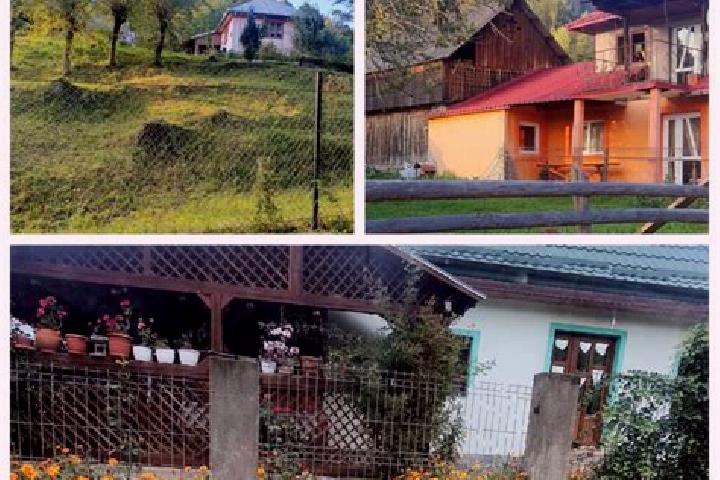 Piper, 23 — Escort in Brusturoasa, Romania
