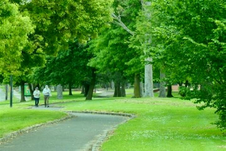 Piper, 23 — Escort in Croydon Park, Australia