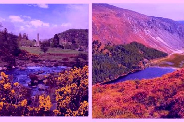 Piper, 23 — Escort in Glendalough, Australia