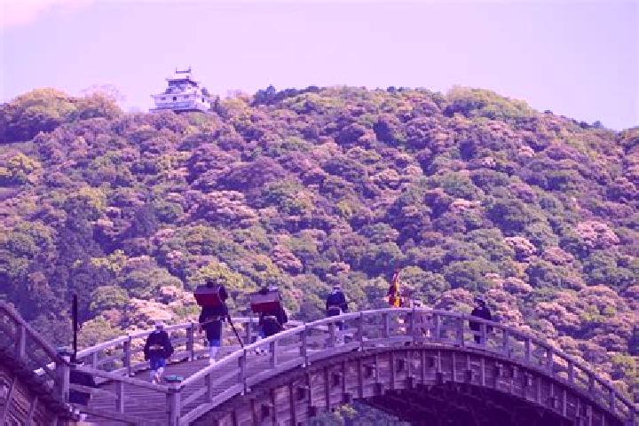 Piper, 23 — Escort in Iwakuni, Japan