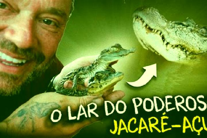 Piper, 23 — Escort in Jacare dos Homens, Brazil