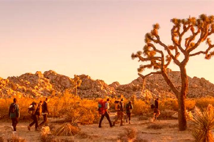 Piper, 23 — Escort in Joshua Tree, United States
