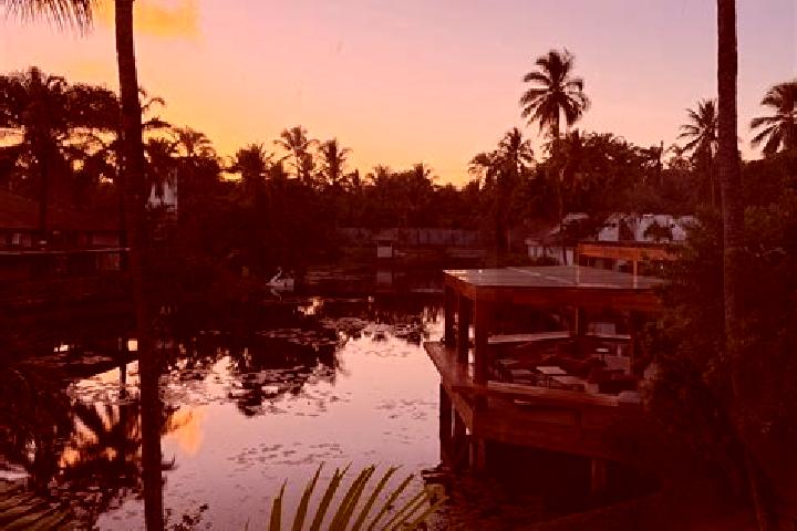Piper, 23 — Escort in Olivenca, Brazil