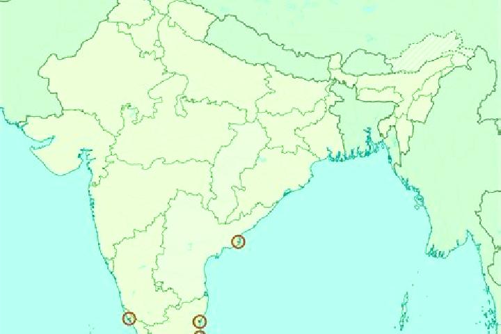 Piper, 23 — Escort in Piduguralla, India