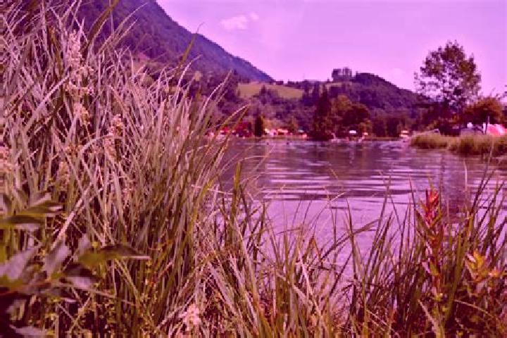 Piper, 23 — Escort in Plankenau, Austria