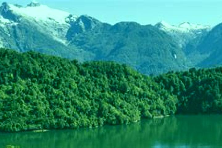 Piper, 23 — Escort in Puerto Chacabuco, Chile