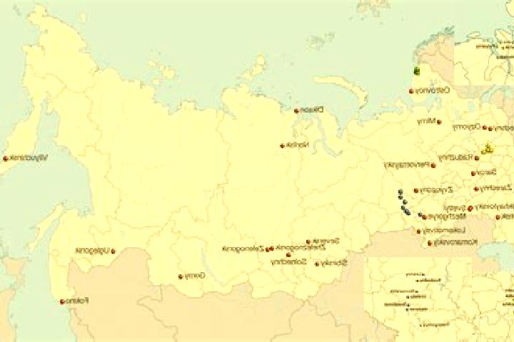 Piper, 23 — Escort in Solnechnoye, Russia