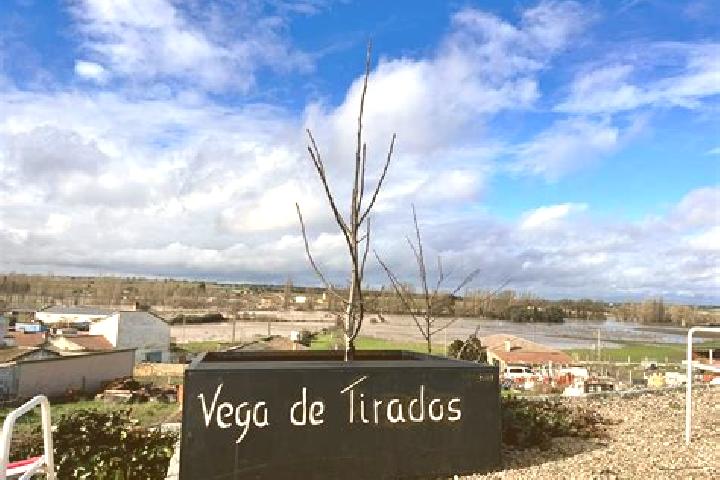 Piper, 23 — Escort in Vega de Tirados, Spain
