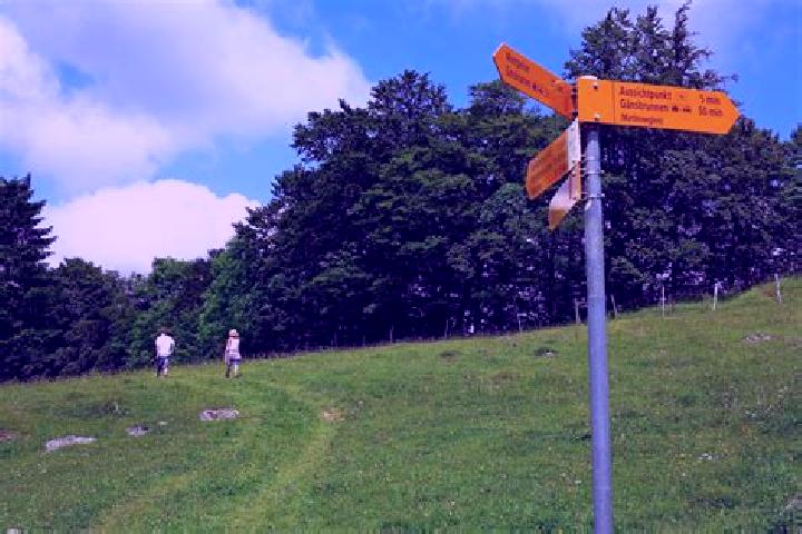Piper, 23 — Escort in Welschenrohr, Switzerland