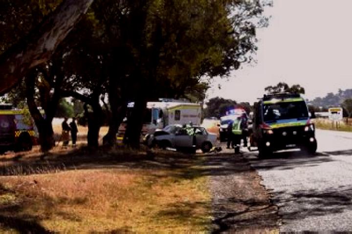 Piper, 23 — Escort in Woombah, Australia