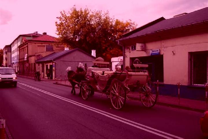 Piper, 23 — Escort in Zakroczym, Poland